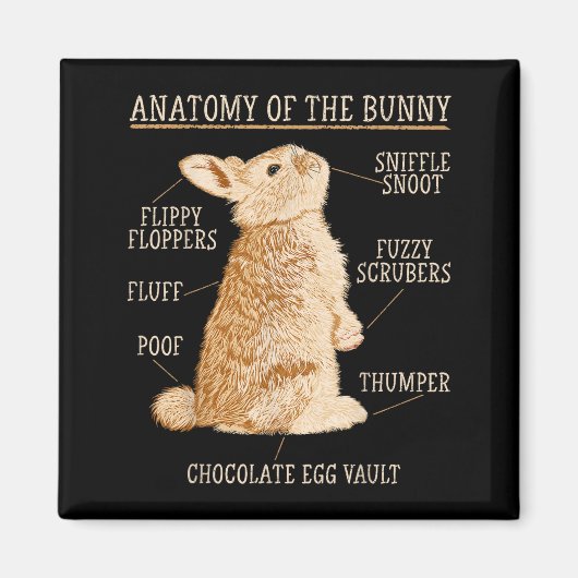 Rabbit Anatomy Bunny Lover Animal Pet Owner  Magneet (Voorkant)