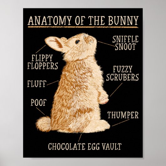 Rabbit Anatomy Bunny Lover Animal Pet Owner  Poster (Voorkant)