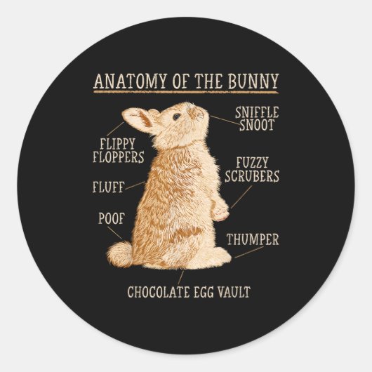 Rabbit Anatomy Bunny Lover Animal Pet Owner Ronde Sticker (Voorkant)