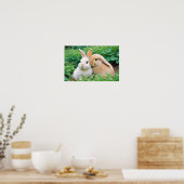 Rabbit Animal Natuur Wildlife Affection Caring Poster (Keuken)