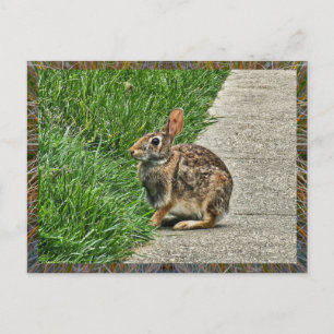 Rabbit art briefkaart