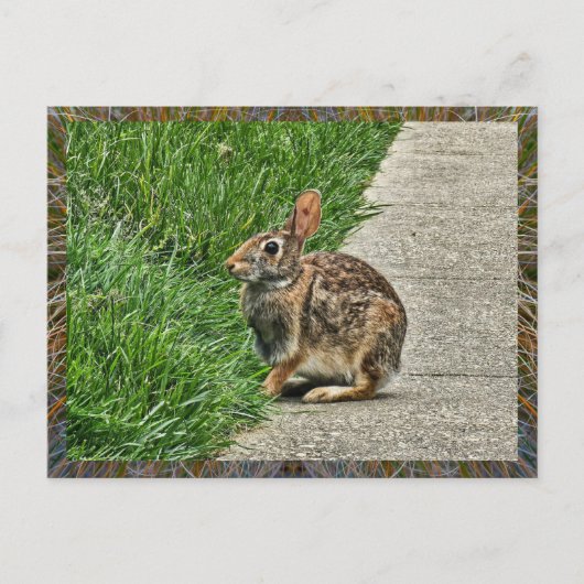 Rabbit art briefkaart (Voorkant)