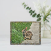 Rabbit art feestdagenkaart (Staand voorkant)