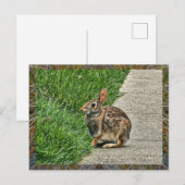 Rabbit art feestdagenkaart (Voorkant / Achterkant)