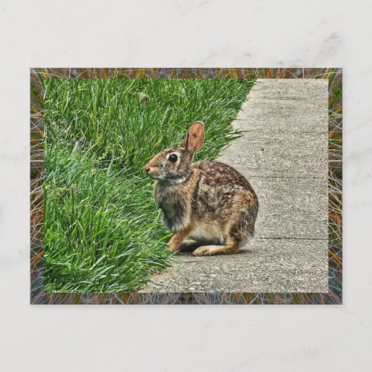 Rabbit art feestdagenkaart (Voorkant)