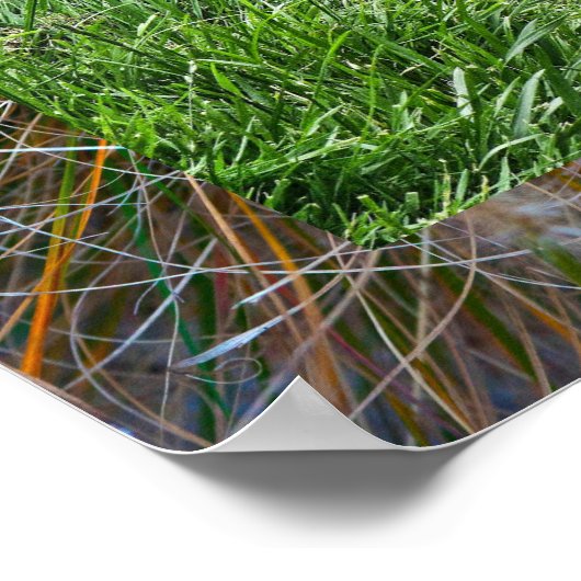 Rabbit art poster (Hoek)