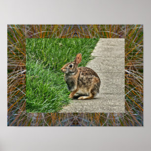 Rabbit art poster