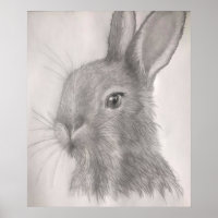 Rabbit Art Prints, Posters