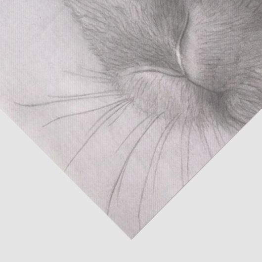 Rabbit Art Tissue Papers Tissuepapier (Detail)