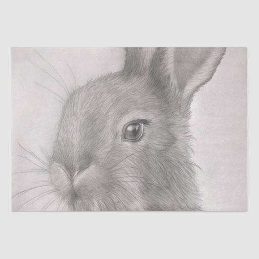 Rabbit Art Tissue Papers Tissuepapier (Voorkant)