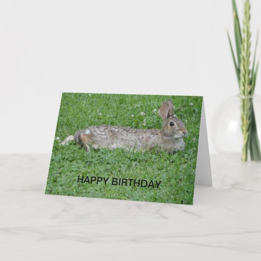 Rabbit, Birthday Kaart (Voorkant)