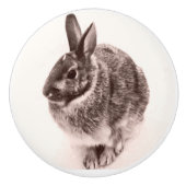 Rabbit Black en white nob, drawer pull, Keramische Knop (Voorkant)