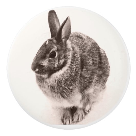 Rabbit Black en white nob, drawer pull, Keramische Knop (Voorkant)