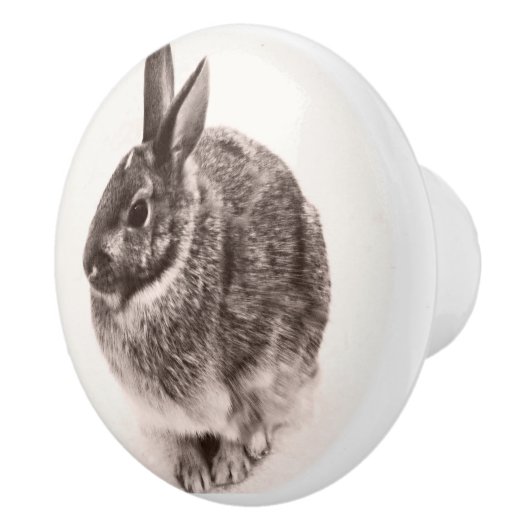 Rabbit Black en white nob, drawer pull, Keramische Knop (Rechts)