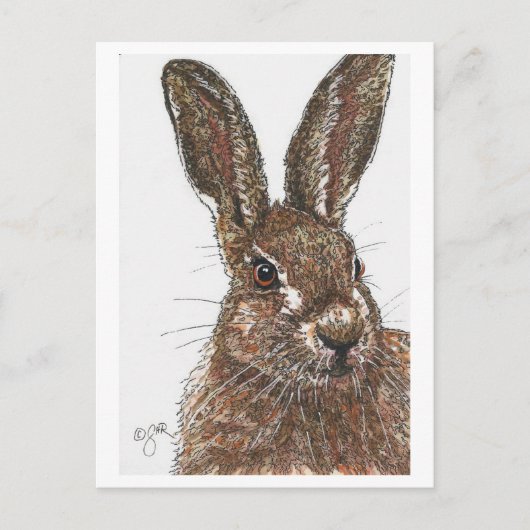 Rabbit Bunny Hare Briefkaart (Voorkant)