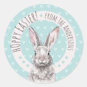 Rabbit Bunny Hoppy Easter Cute Spring Animal art Ronde Sticker (Voorkant)