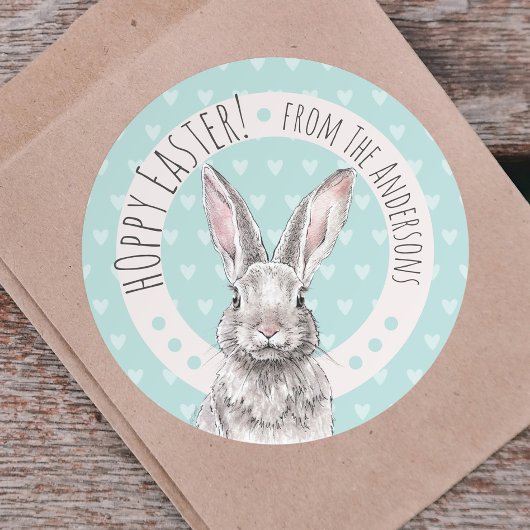Rabbit Bunny Hoppy Easter Cute Spring Animal art Ronde Sticker
