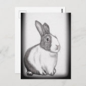 Rabbit Bunny White Fluffy Tail Long Ears Briefkaar Briefkaart (Voorkant / Achterkant)