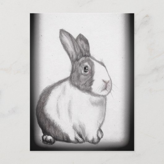 Rabbit Bunny White Fluffy Tail Long Ears Briefkaar Briefkaart (Voorkant)