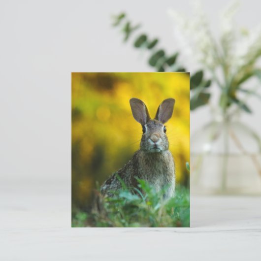 Rabbit Bunny Wildlife Forest Briefkaart (Staand voorkant)