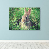 Rabbit Canvas Print (Insitu (Houten vloer))