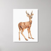 Rabbit Canvas Print (Voorkant)