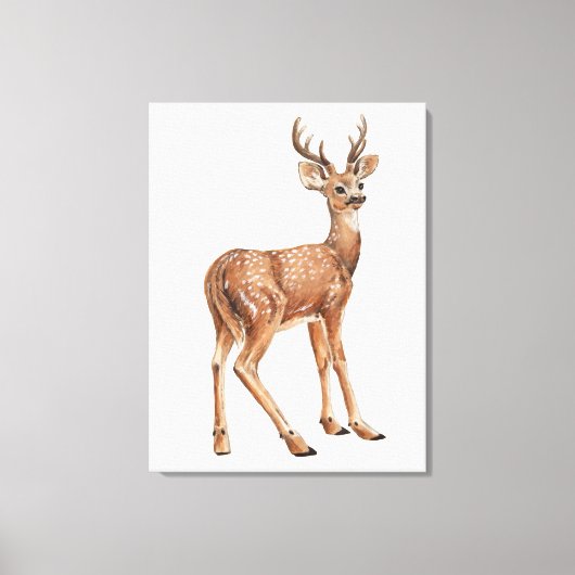 Rabbit Canvas Print (Voorkant)