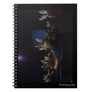 Rabbit Cinema notebook Notitieboek