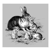 Rabbit Family - Archivering Print