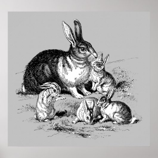 Rabbit Family - Archivering Print (Voorkant)