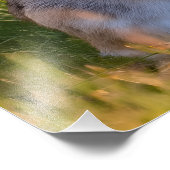 Rabbit Foto Afdruk (Hoek)