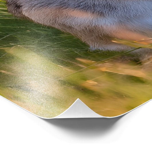 Rabbit Foto Afdruk (Hoek)