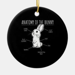 Rabbit Gift  Anatomie van Bunny Cute Rabbit Pet Lo Keramisch Ornament