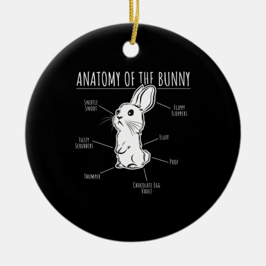 Rabbit Gift |Anatomie van Bunny Cute Rabbit Pet Lo Keramisch Ornament (Voorkant)