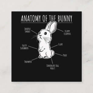 Rabbit Gift  Anatomie van Bunny Cute Rabbit Pet Lo Vierkante Visitekaartje