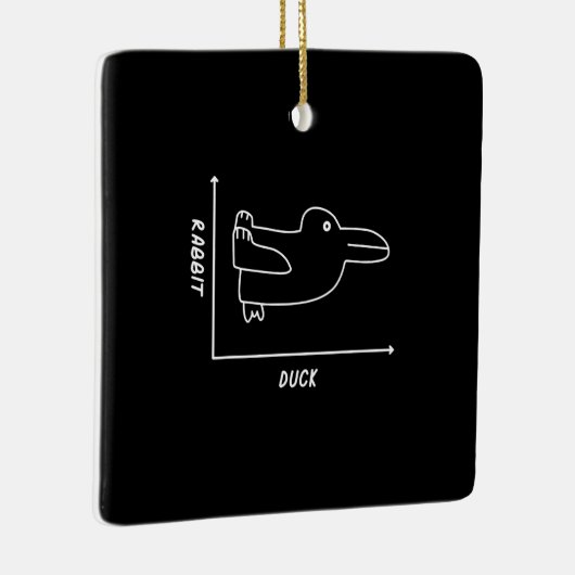 Rabbit Gift | Duck Rabbit Graph Fun Wiskunde Teach Keramisch Ornament (Rechts)
