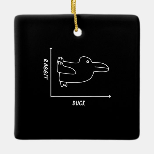 Rabbit Gift | Duck Rabbit Graph Fun Wiskunde Teach Keramisch Ornament (Voorkant)