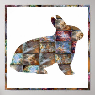 RABBIT: grafisch ontwerp Poster