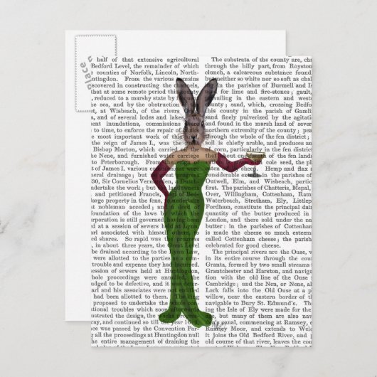 Rabbit Green Dress Briefkaart (Voorkant / Achterkant)