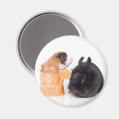 rabbit & guinea pig magneet (Voorkant / Achterkant)