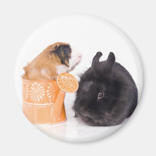 rabbit & guinea pig magneet (Voorkant)