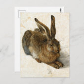 Rabbit, Hare by Durer Natuur Art, 1502 Briefkaart (Voorkant / Achterkant)