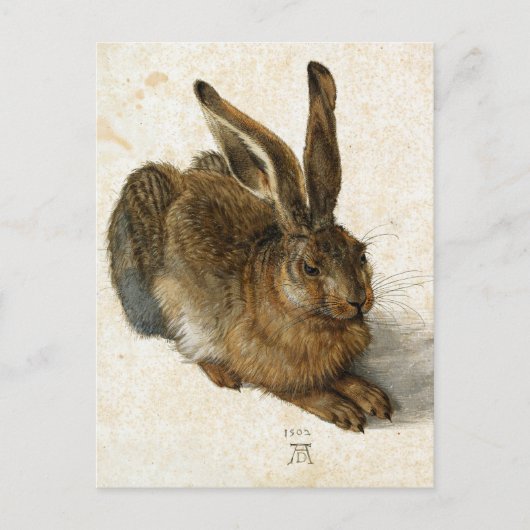 Rabbit, Hare by Durer Natuur Art, 1502 Briefkaart (Voorkant)