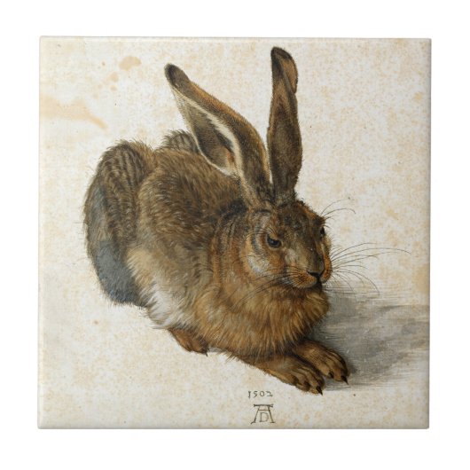 Rabbit, Hare by Durer  Natuur Art uit 1502 Tegeltje (Voorkant)