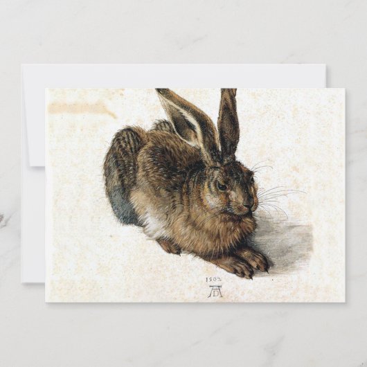 Rabbit Hare in de sneeuw - Durand (Voorkant)