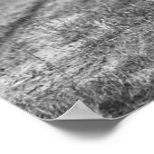 Rabbit Hunting, 1908.  foto Poster (Hoek)