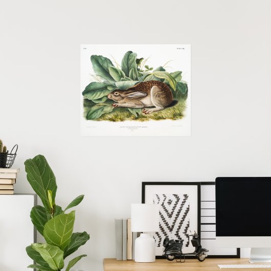 Rabbit Illustration Poster (Thuiskantoor)