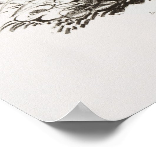 Rabbit Illustration Poster (Hoek)