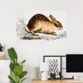 Rabbit Illustration Poster (Thuiskantoor)