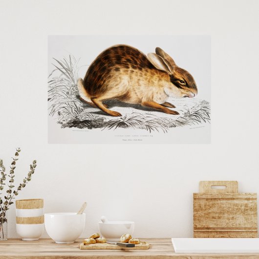Rabbit Illustration Poster (Keuken)